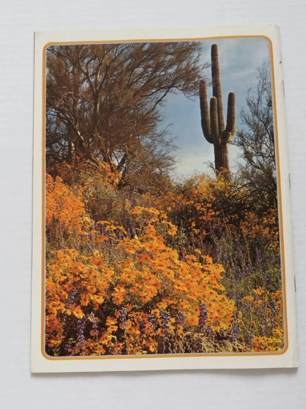 Arizona Highways Vintage Magazines Season’s Greetings 7 issues 1973-1983